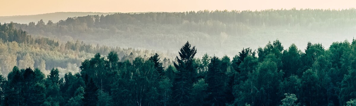 Sustainability